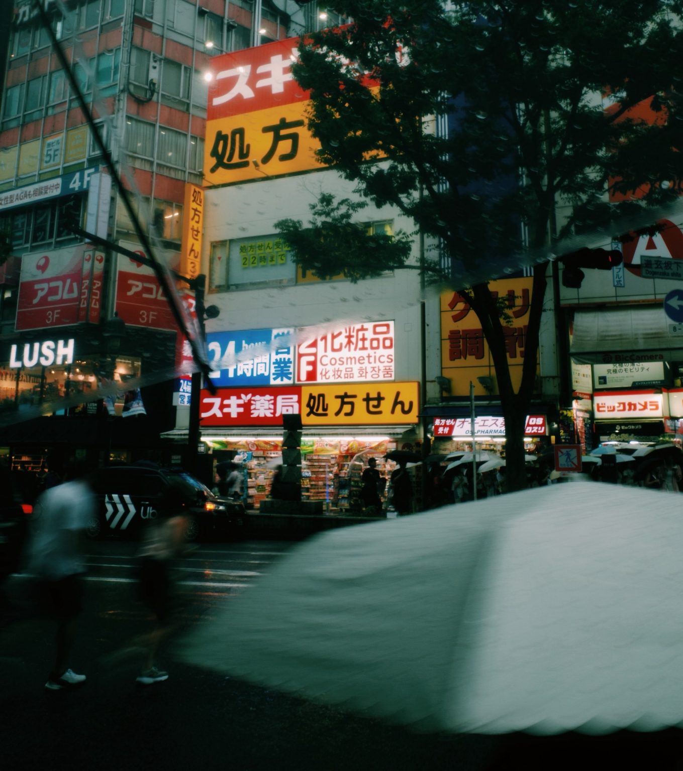 日本